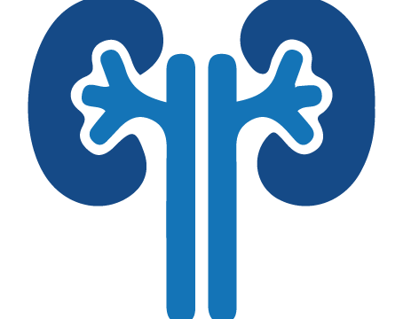 H&EU Kidneys Icon